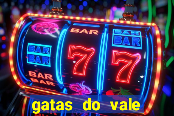 gatas do vale juazeiro bahia